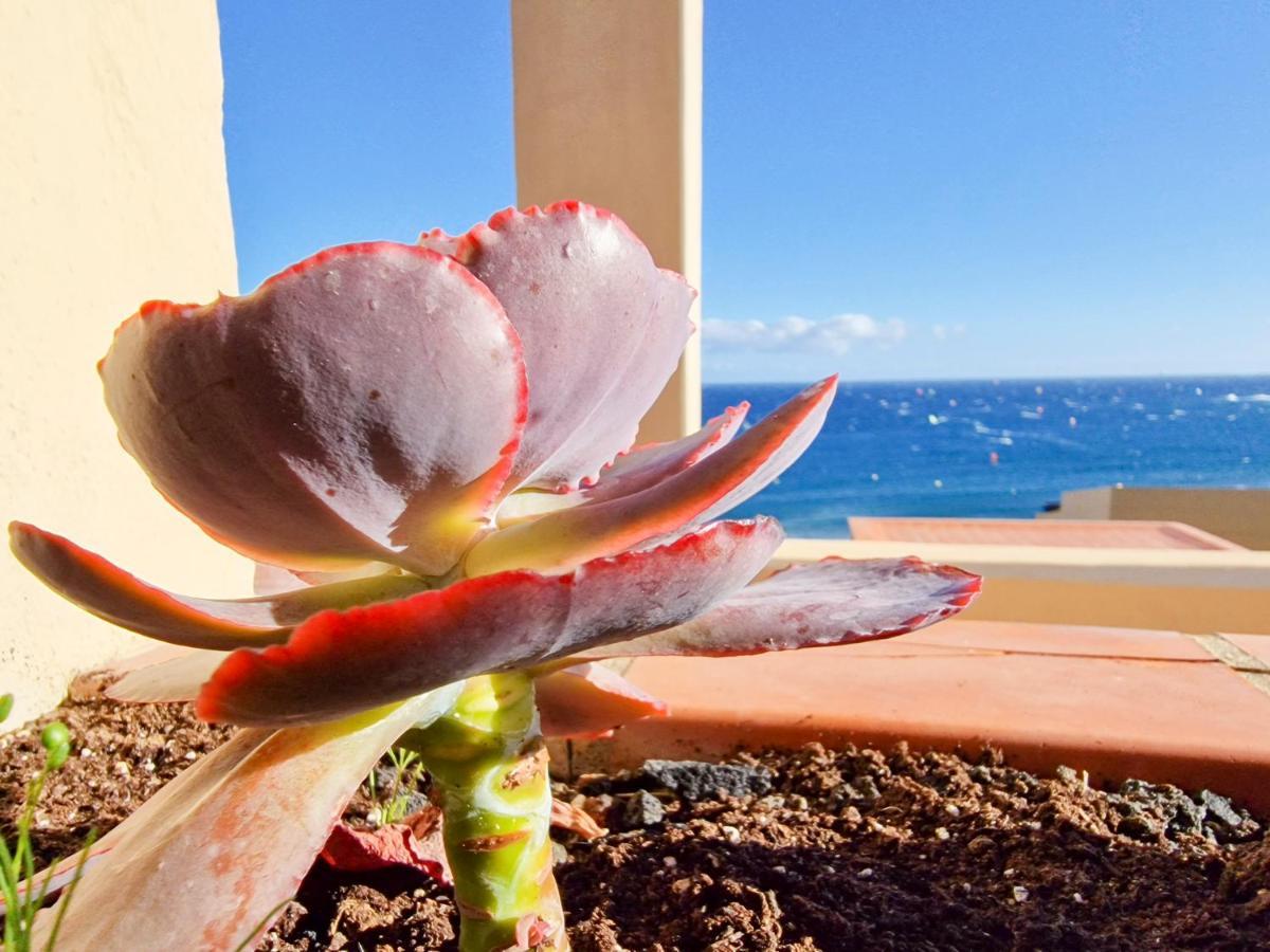 Medano4You The Ocean Terrace Penthouse El Médano Exterior foto